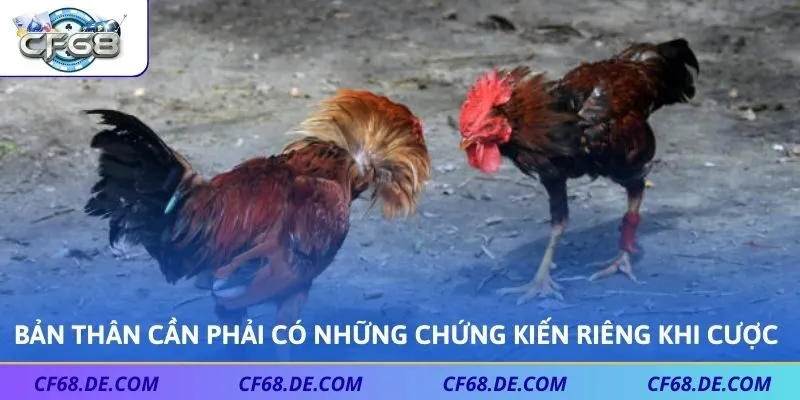Bản thân cần phải có những chứng kiến riêng khi cược