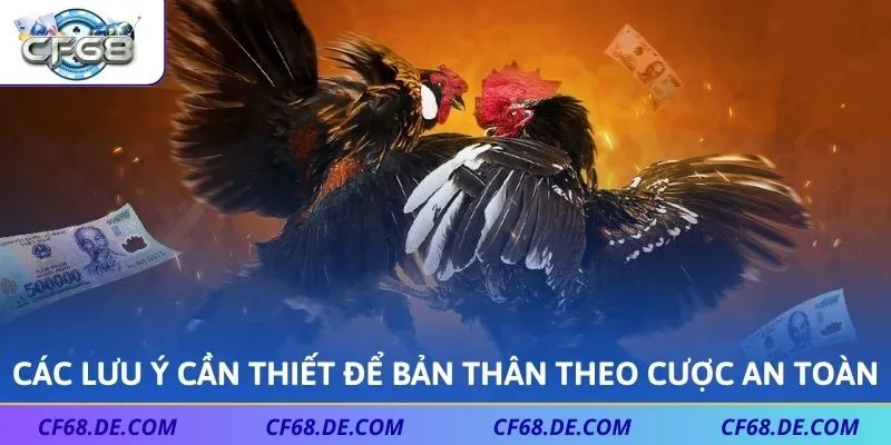 Các lưu ý cần thiết để bản thân theo cược an toàn
